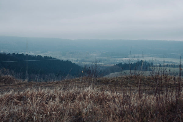 Kotlina Valley Doesn’t Like Hot Dogs with Ketchup