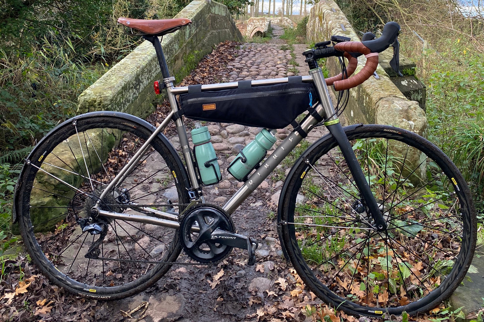 Leon's Ribble Endurance Ti