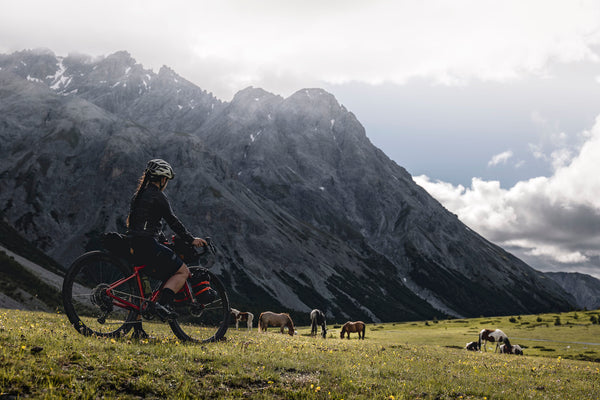 Small Bikes, Big Adventures